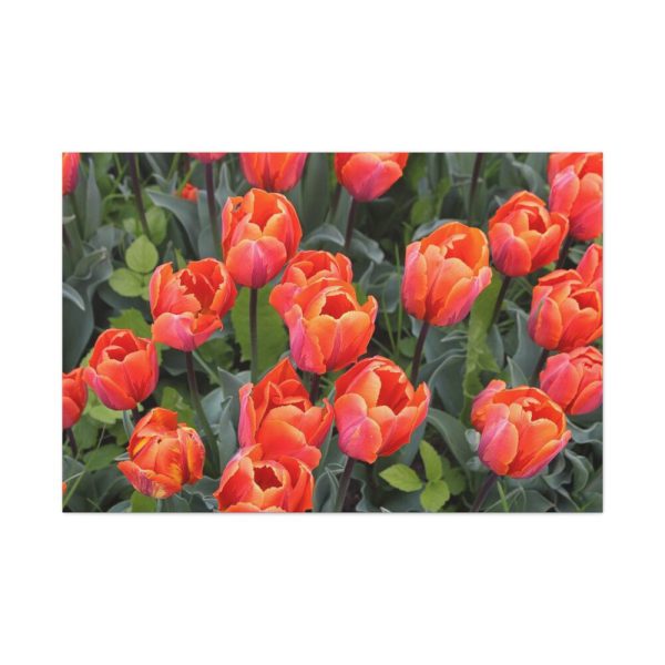 91638-181.jpg Garden Plant Standard Canvas