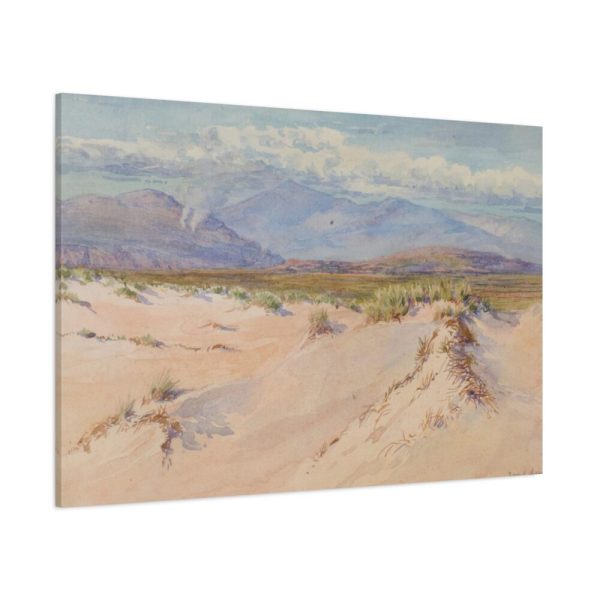 91638-20.jpg Sand Dunes, Harlech, North Wales, Standard Canvas