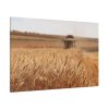 91638-225.jpg Tractor Harvest Grains of Wheat in a Farm Field Standard Canvas