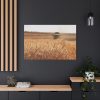 91638-228.jpg Tractor Harvest Grains of Wheat in a Farm Field Standard Canvas
