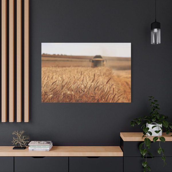 91638-228.jpg Tractor Harvest Grains of Wheat in a Farm Field Standard Canvas