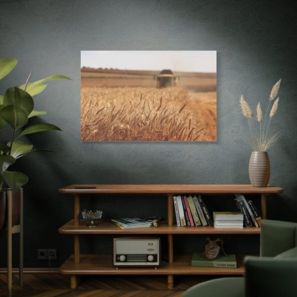 91638-229.jpg Tractor Harvest Grains of Wheat in a Farm Field Standard Canvas