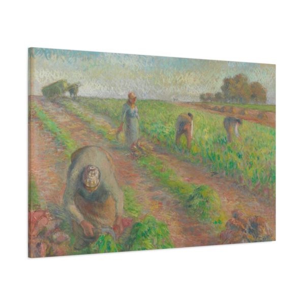 91638-25.jpg The Beet Harvest Standard Canvas