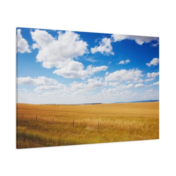 91638-250.jpg South Dakota Rural Scene Standard Canvas