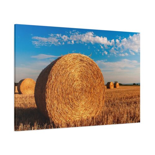 Straw Bales Standard Canvas