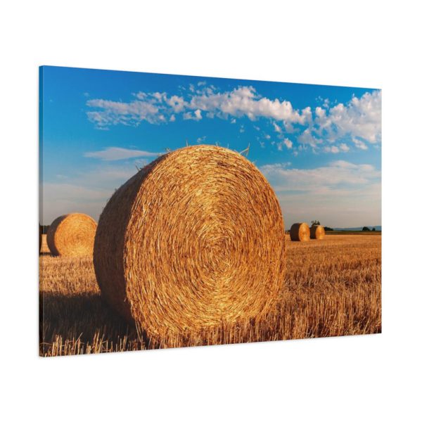 91638-255.jpg Straw Bales Standard Canvas