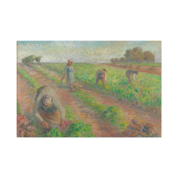 91638-26.jpg The Beet Harvest Standard Canvas