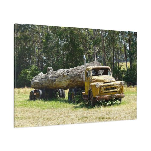 91638-265.jpg Log Truck Wrapped in Wire Standard Canvas