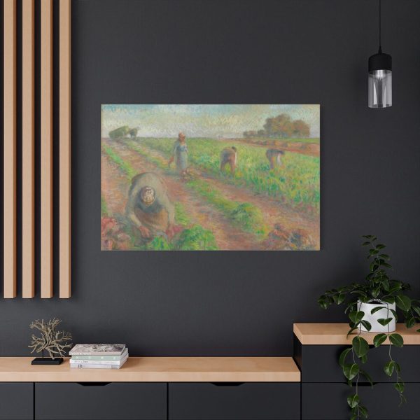 91638-28.jpg The Beet Harvest Standard Canvas