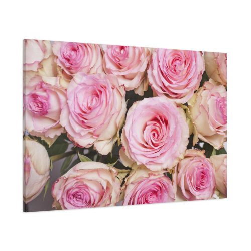 Rose Pink Roses Standard Canvas