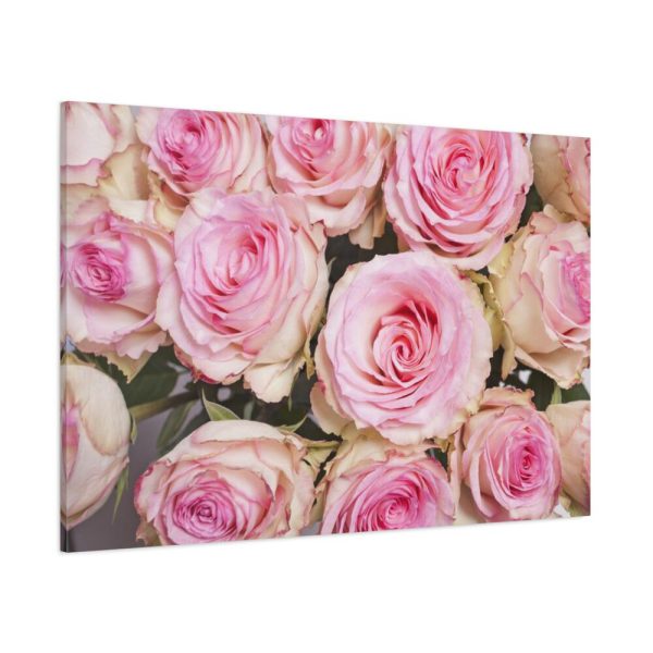 91638-295.jpg Rose Pink Roses Standard Canvas