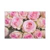 91638-296.jpg Rose Pink Roses Standard Canvas