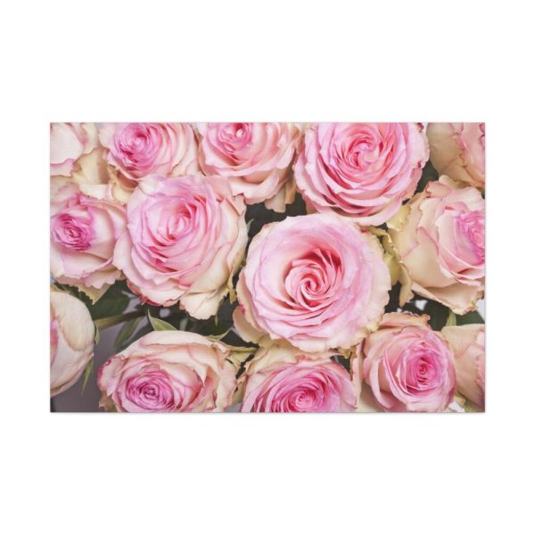 91638-296.jpg Rose Pink Roses Standard Canvas