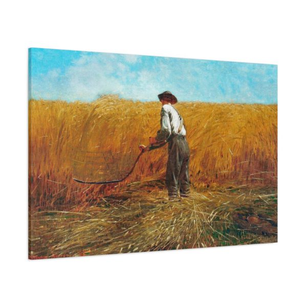 91638-30.jpg The Veteran in a New Field Standard Canvas