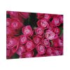 91638-300.jpg Flowers Rose Pink Bouquet Standard Canvas