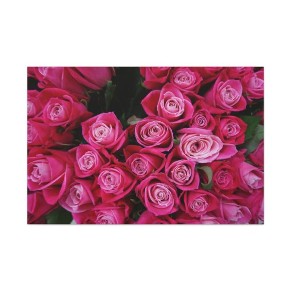 91638-301.jpg Flowers Rose Pink Bouquet Standard Canvas
