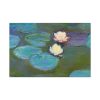 91638-331.jpg Nympheas by Claude Monet Standard Canvas