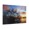 Dandelion Sunset Sillhouette Floral Standard Canvas