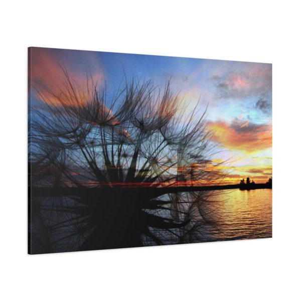 Dandelion Sunset Sillhouette Floral Standard Canvas
