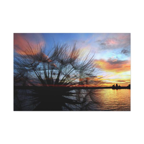Dandelion Sunset Sillhouette Floral Standard Canvas