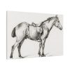 91638-350.jpg Standing horse by Jean Bernard Standard Canvas