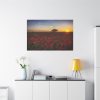 Red Poppies in the Sunset Standard Canvas