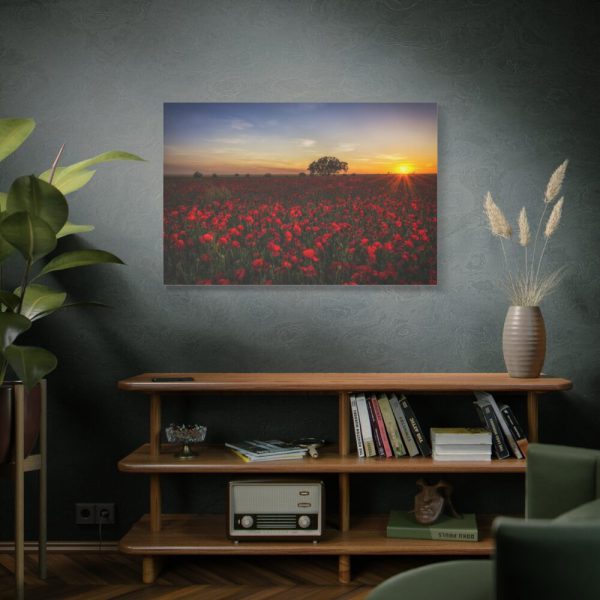 Red Poppies in the Sunset Standard Canvas