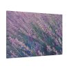 91638-370.jpg Tall Lavender Plants Standard Canvas
