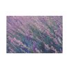 91638-371.jpg Tall Lavender Plants Standard Canvas