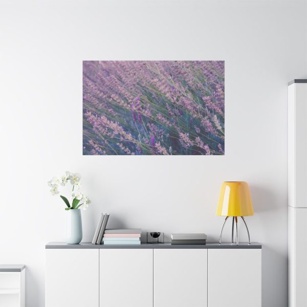 91638-372.jpg Tall Lavender Plants Standard Canvas