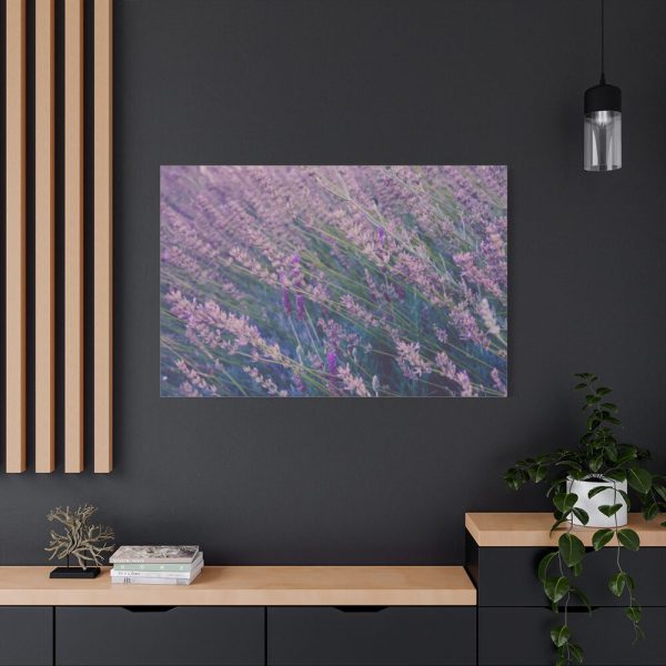 91638-373.jpg Tall Lavender Plants Standard Canvas