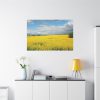 91638-377.jpg Oilseed Rape Field Yellow Standard Canvas
