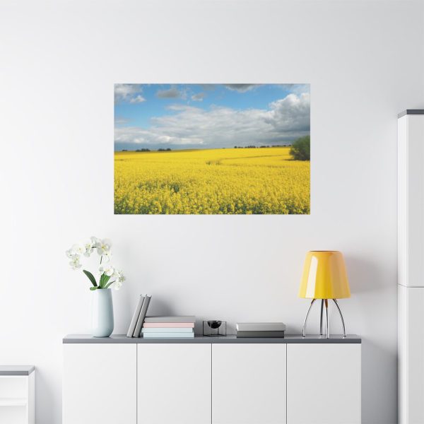 91638-377.jpg Oilseed Rape Field Yellow Standard Canvas