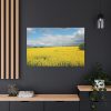 91638-378.jpg Oilseed Rape Field Yellow Standard Canvas