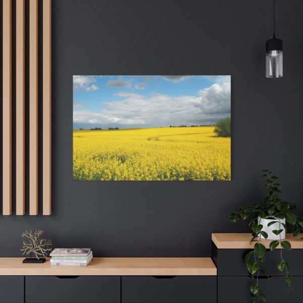 91638-378.jpg Oilseed Rape Field Yellow Standard Canvas