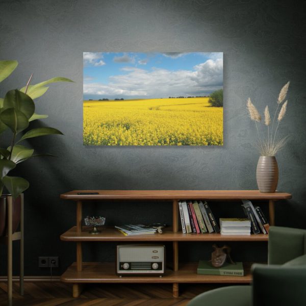 91638-379.jpg Oilseed Rape Field Yellow Standard Canvas