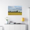 91638-382.jpg Oilseed Rape Field Rapeseeds Standard Canvas