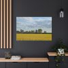 91638-383.jpg Oilseed Rape Field Rapeseeds Standard Canvas