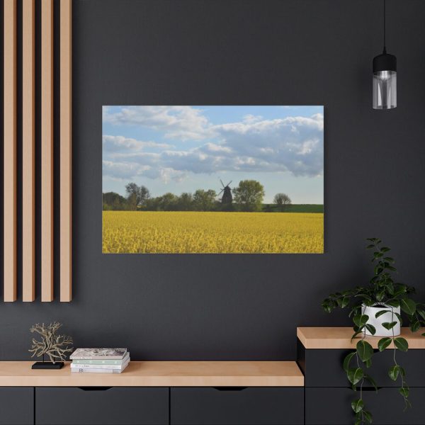 91638-383.jpg Oilseed Rape Field Rapeseeds Standard Canvas