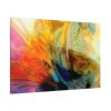 Colorfulness art Standard Canvas