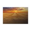 91638-46.jpg Wheat field Standard Canvas