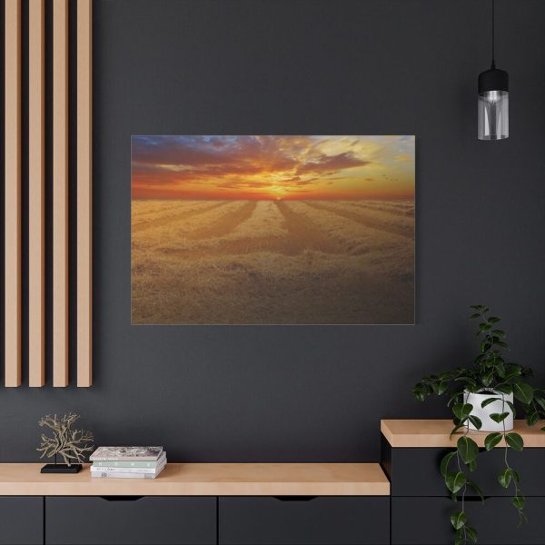 91638-48.jpg Wheat field Standard Canvas