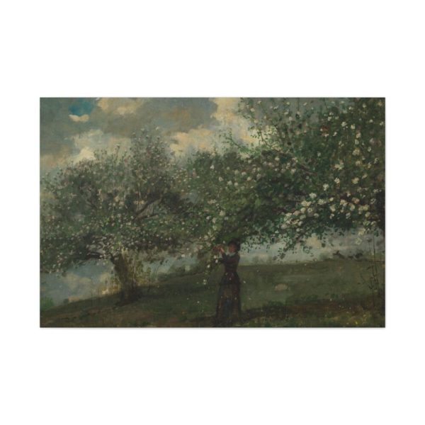 91638-481.jpg Girl Picking Apple Blossoms by Winslow Homer Standard Canvas