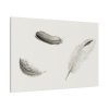 91638-95.jpg Study of Three Feathers Standard Canvas