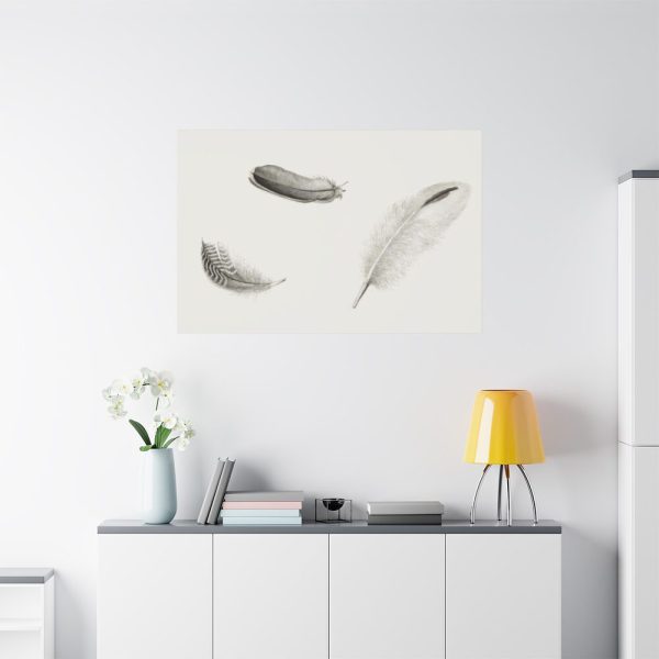 91638-97.jpg Study of Three Feathers Standard Canvas