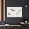 91638-98.jpg Study of Three Feathers Standard Canvas