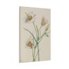 Sego Lily by Mary Vaux Walcott Standard Canvas