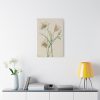Sego Lily by Mary Vaux Walcott Standard Canvas
