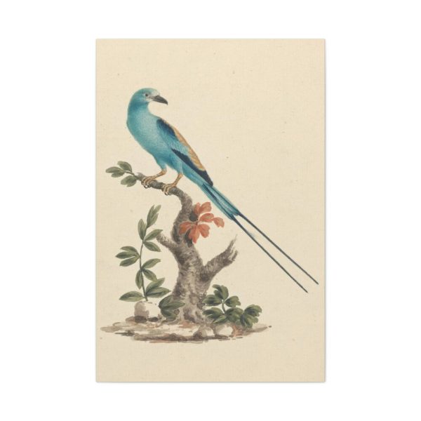 91655-1.jpg Coracias abyssinicus (Abyssinian Roller) Standard Canvas