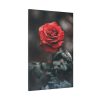 91655-100.jpg Close-up of a Red Rose With Its Petals Standard Canvas